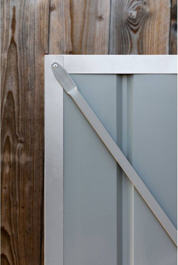 Globel Tuinhuis Lean To 56 Plaatstaal Zilver Metallic 171x144cm