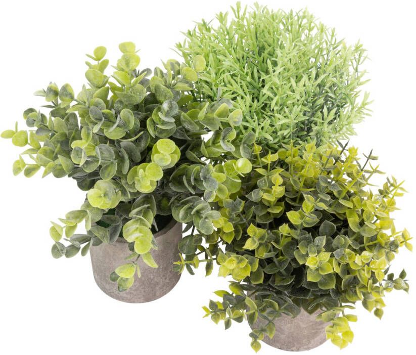 GreenDream Kunstplanten Kleine Kunstplanten Kamerplanten 3 Stuks Kunstplanten 20cm