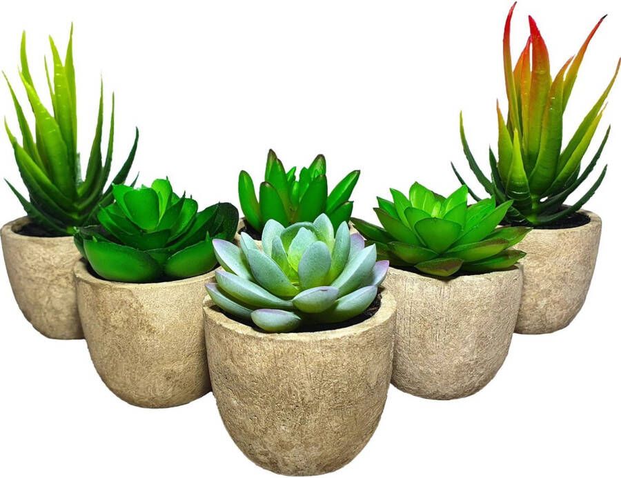 GreenDream Kunstplanten Vetplanten In Pot 6 Stuks Cadeautip