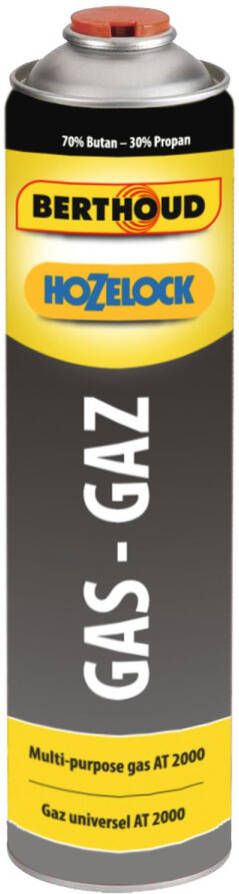 Hozelock Gascartridge Universeel 600ml 300gr