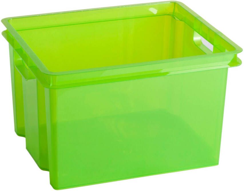 Keter Opbergbox Crownest Pvc 30 L Pvc Lasergroen