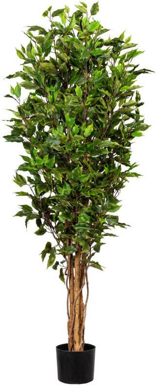 Kopu Kunstplant Ficus Smal 150 Cm In Pot Met Natuurstam