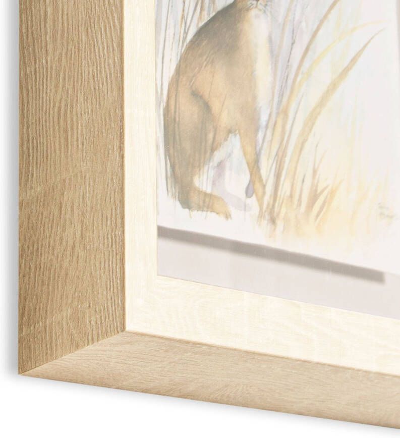 Laura Ashley | Country Hare Print In Frame 40x30 Cm