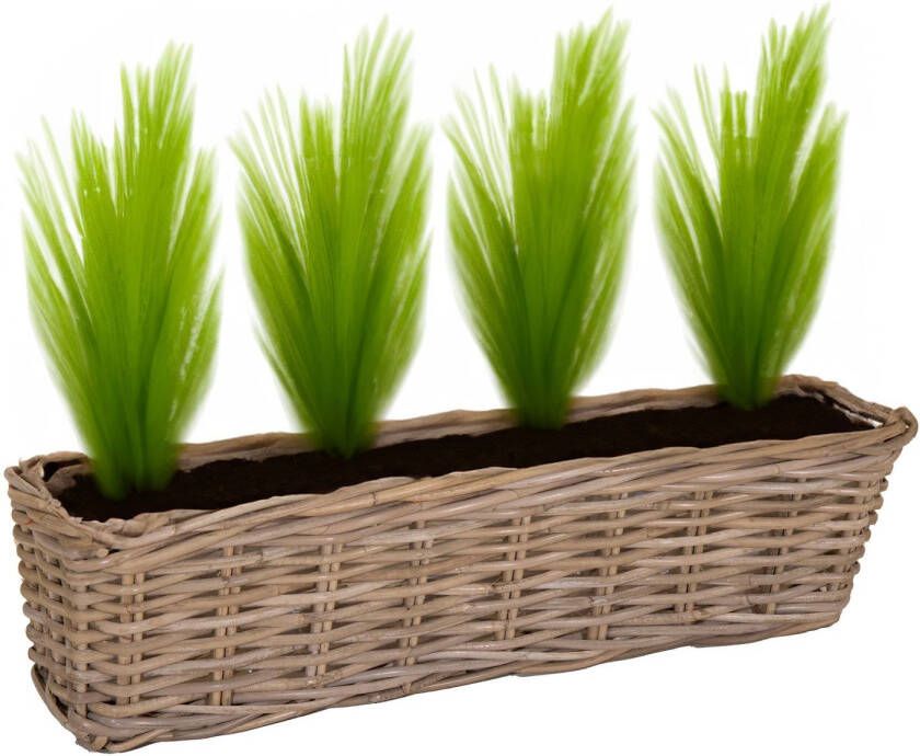 Mega Collections Planten bloemen mand Levi rotan rechthoekig naturel 60 x 15 x 17 cm plantenpot voor buiten