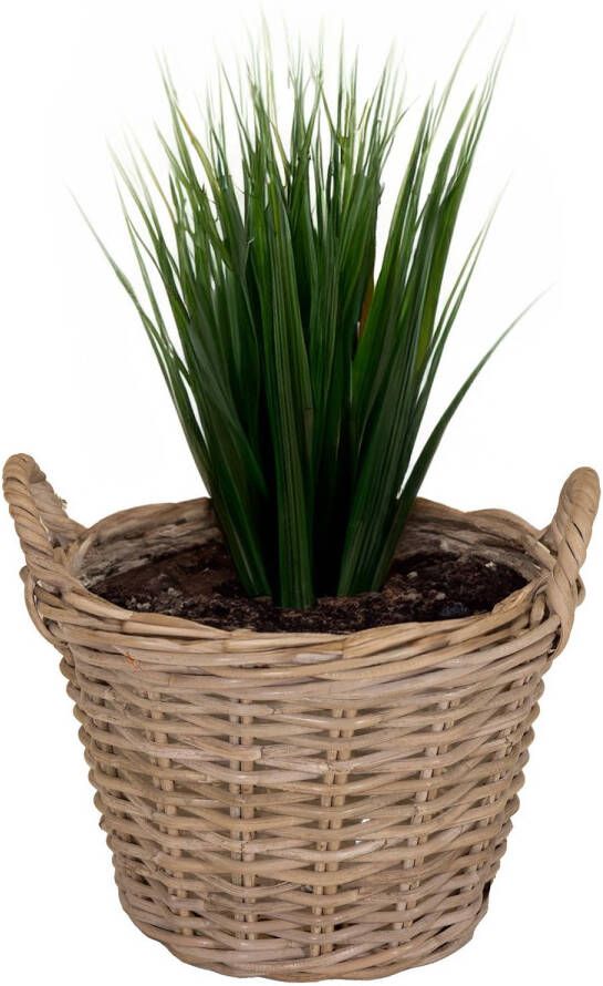 Mega Collections Planten bloemen mand Levi rotan naturel D35 x H25 cm plantenpot voor buiten