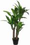 Mica Decorations Dracaena Kunstplant H95 X Ø60 Cm Groen - Thumbnail 1