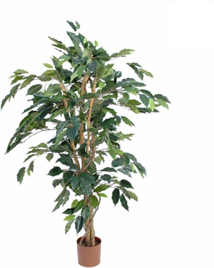 Mica Decorations Ficus Benjamina 105x60 Cm Groen In Plastic Pot Groen