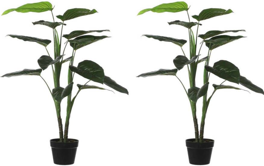 Mica Decorations Philodendron Kunstplant H100xø70 Cm Set Van 2