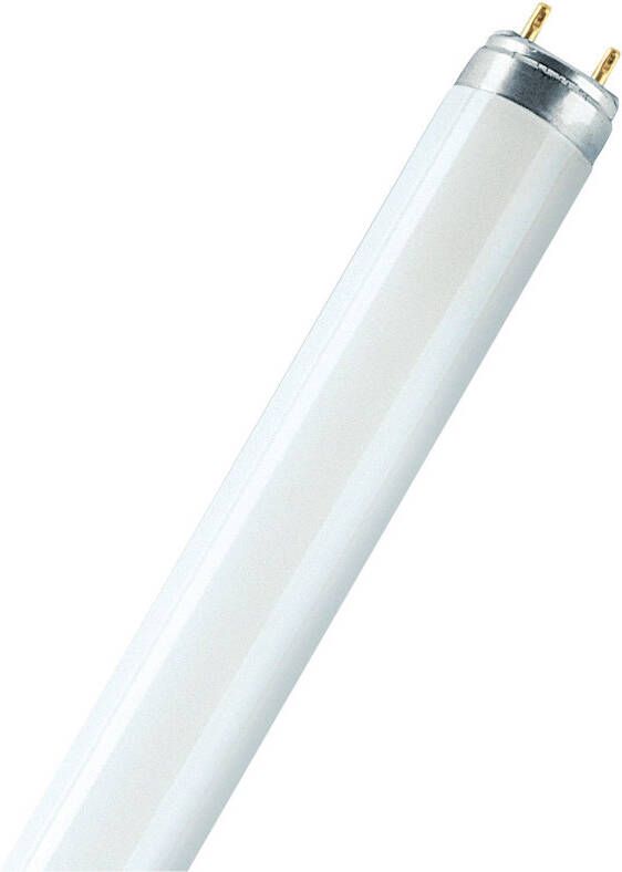 Osram Fluorescentiebuis Lumilux T8 Warm Wit G13 18w