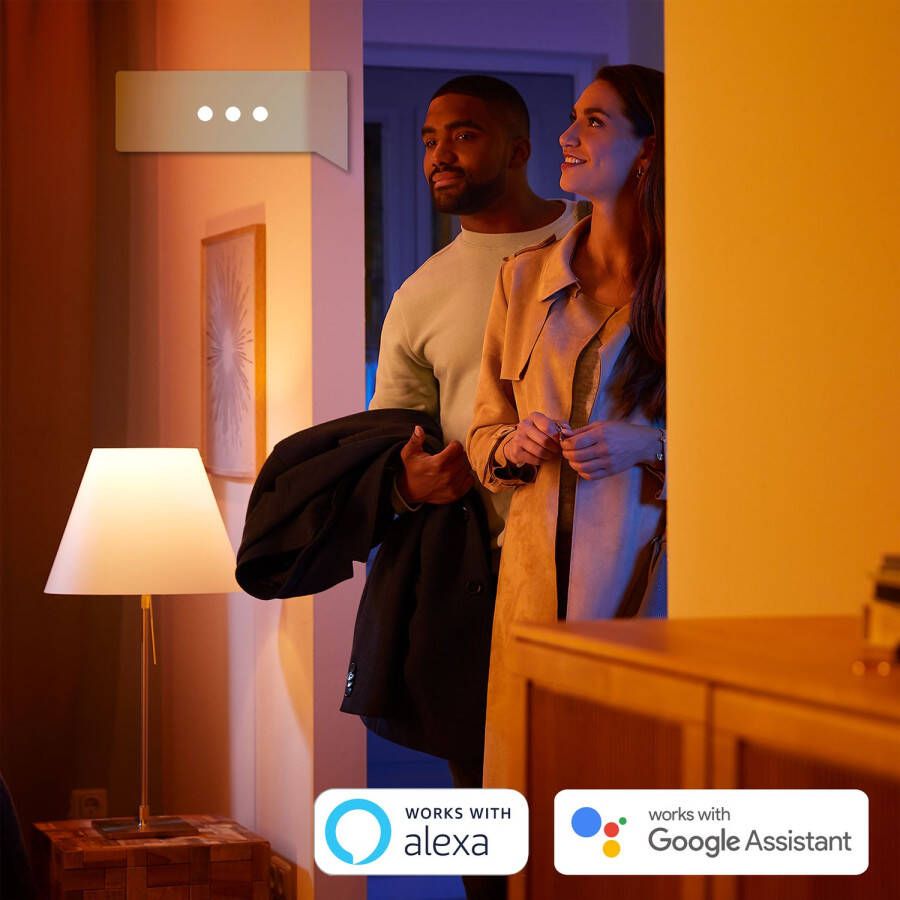 Philips Hue Tafellamp Go