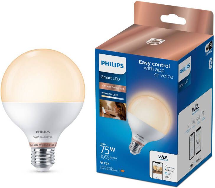 Philips Ledlamp G95 E27 11w