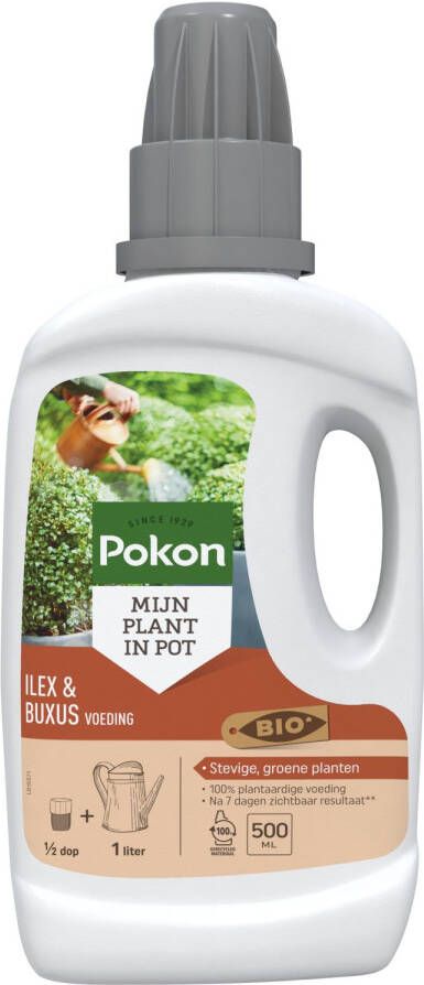 Pokon Bio Buxus & Ilex 500ml