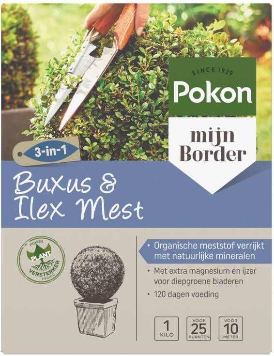 Pokon Buxus & Ilex Mest 1kg