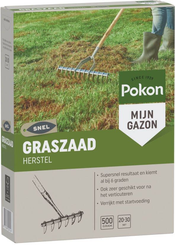 Pokon Graszaad Herstel 500gr