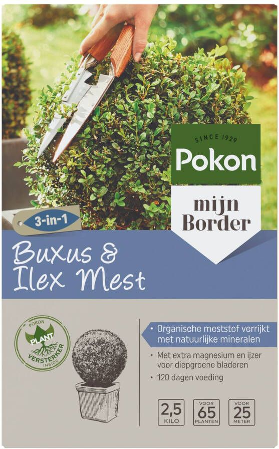 Pokon Mest Buxus & Ilex 2500gr