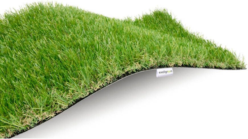 Praxis Exelgreen Kunstgras Lawn 3cm 1x3m