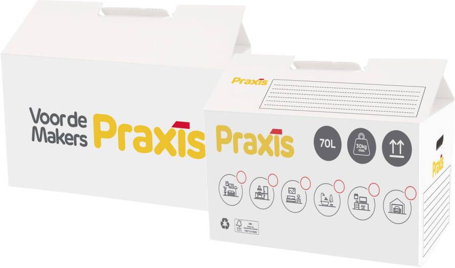 Praxis Fsc Kartonnen Verhuisdoos 70l 58x40x30cm