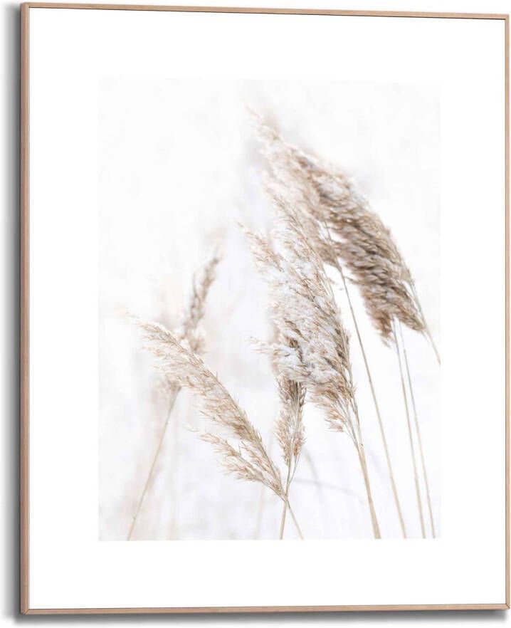 Reinders Pampasgras Planten Natuur Schilderij Slim Frame MDF 40 x 50 cm