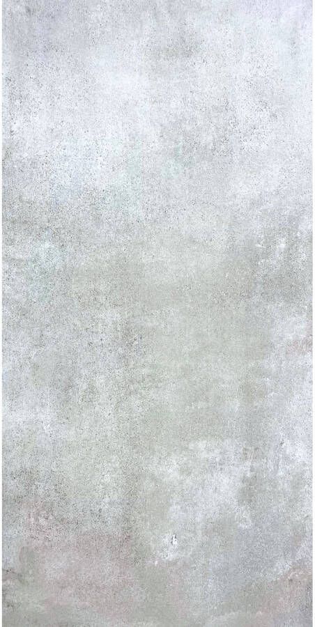 Praxis Terrastegel Ark Keramiek Beton Zilver Grijs 120x60x2cm Pakketinhoud 1 44m² 2 Stuks