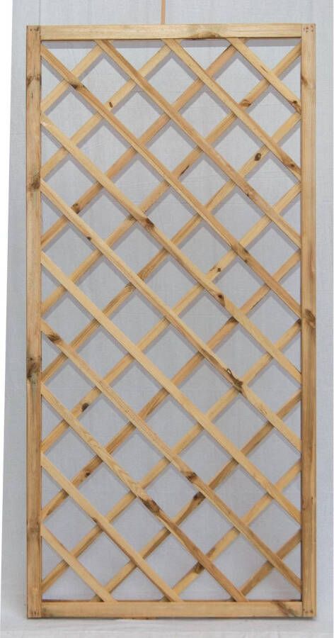 Praxis Trellis Kader Fsc Geïmpregneerd Hout 60x180cm Bruin