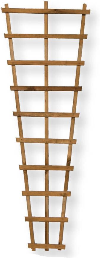 Praxis Trellis V-vorm Grenen 60x2 4x180cm