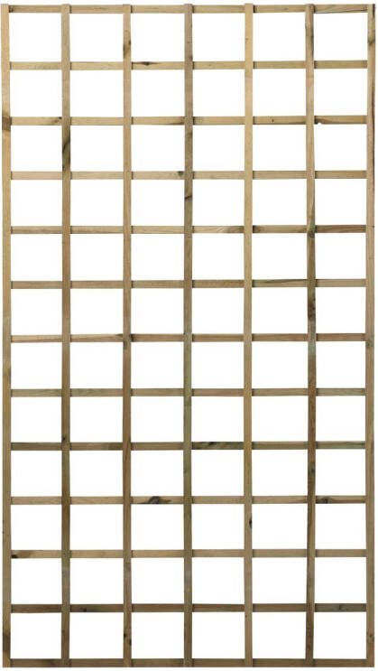 Praxis Trellis Zonder Kader Grenen Fsc 2 4x100x180cm