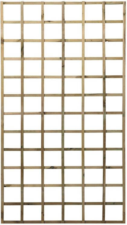 Praxis Trellis Zonder Kader Grenen Fsc 2 4x100x180cm