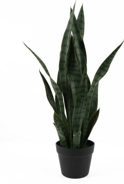 Present Time Kunstplant Sansevieria Donkergroen