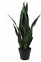 Present Time Kunstplant Sansevieria Groen 30x30x66cm Modern - Thumbnail 2