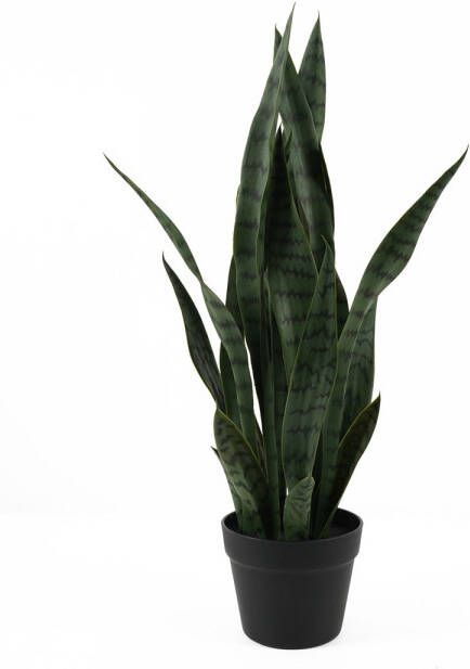 Present Time Kunstplant Sansevieria Donkergroen