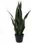 Present Time Kunstplant Sansevieria Groen 30x30x66cm Modern - Thumbnail 2