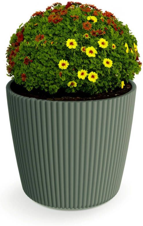 Prosperplast Plantenpot bloempot Buckingham buiten binnen design kunststof dennen groen D17 x H15 cm