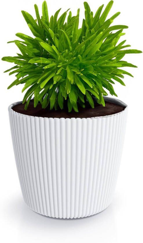 Prosperplast Plantenpot bloempot Buckingham buiten binnen design kunststof ivoor wit D19 x H17 cm