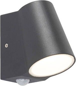 QAZQA Uma Buitenlamp met sensor bewegingsmelder 1 lichts D 120 mm Antraciet