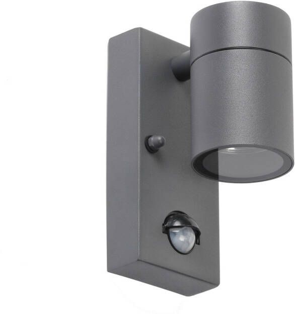 QAZQA solo Buitenlamp met sensor bewegingsmelder 1 lichts D 105 mm Antraciet