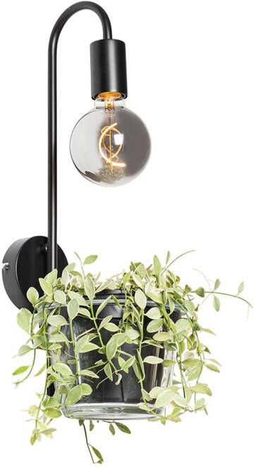 QAZQA Moderne Wandlamp Zwart Met Glas Roslini