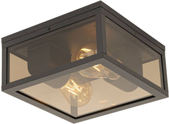 QAZQA Plafondlamp Zwart Met Smoke Glas 2-lichts Ip44 Charlois