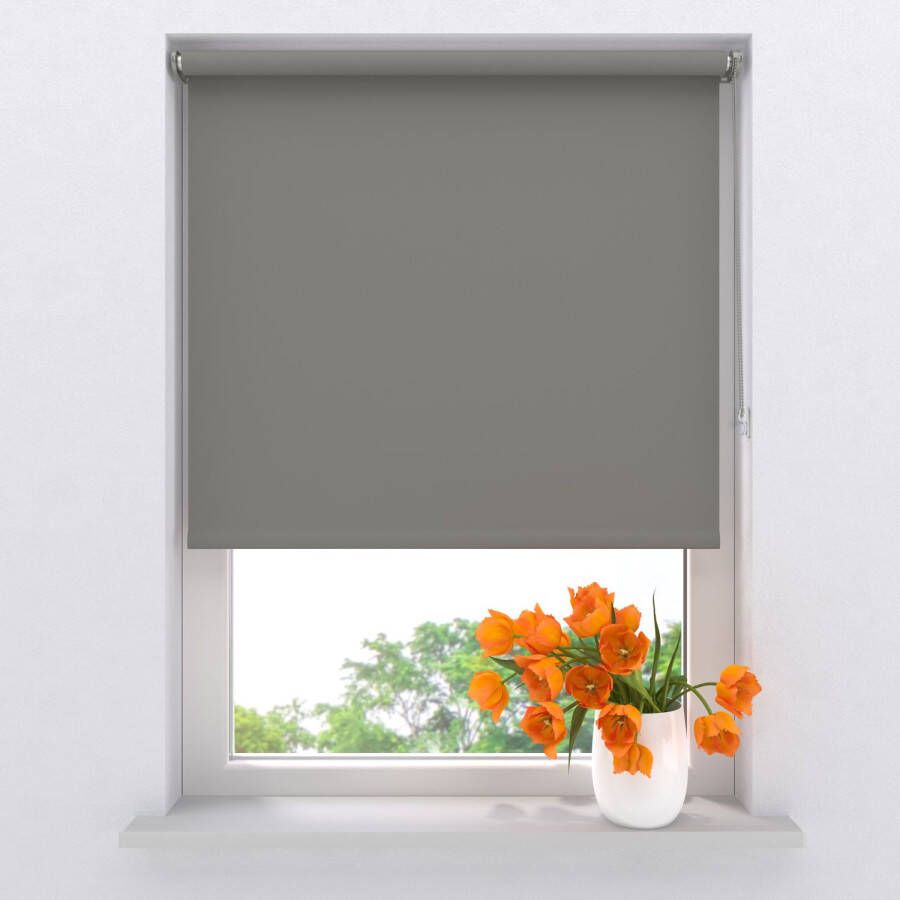 Raamdecoratie.com Rolgordijn Verduisterend Mini Grijs 60 x 150 cm Full Color Montage zonder boren