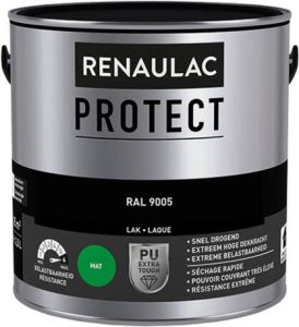 Renaulac Lak Protect RAL9005 mat 2 5L