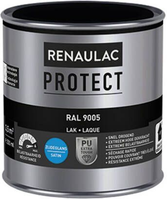 RENAULAC Lak Protect Ral9005 Zijdeglans 250ml