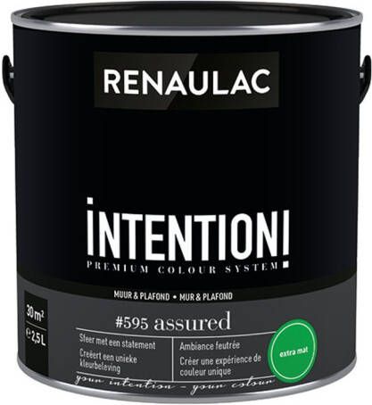 RENAULAC Muur- En Plafondverf Intention Assured Extra Mat 2 5l