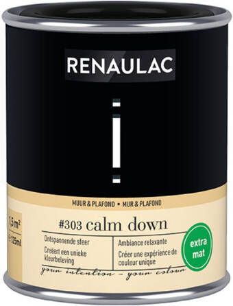 RENAULAC Muur- En Plafondverf Intention Calm Down Extra Mat 125ml