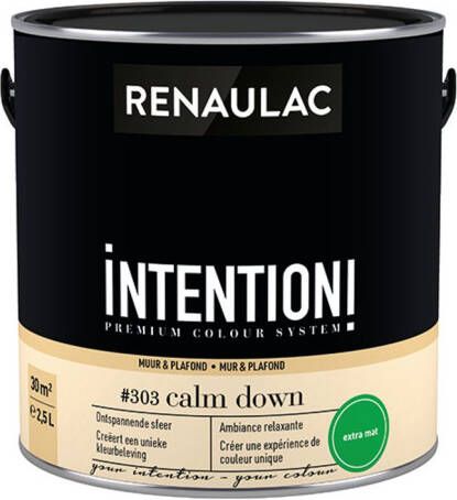 RENAULAC Muur- En Plafondverf Intention Calm Down Extra Mat 2 5l