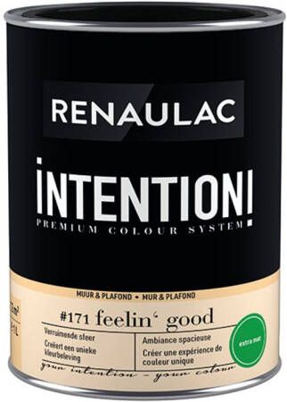 RENAULAC Muur- En Plafondverf Intention Feelin' Good Extra Mat 1l