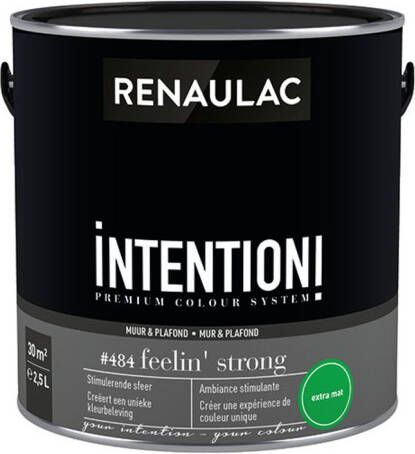 RENAULAC Muur- En Plafondverf Intention Feelin' Strong Extra Mat 2 5l