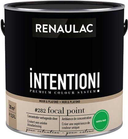 RENAULAC Muur- En Plafondverf Intention Focal Point Extra Mat 2 5l