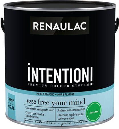 RENAULAC Muur- En Plafondverf Intention Free Your Mind Extra Mat 2 5l