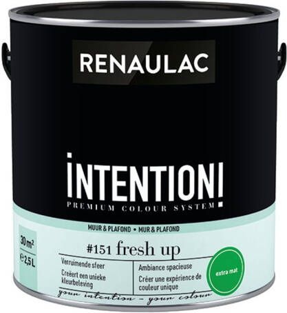 RENAULAC Muur- En Plafondverf Intention Fresh Up Extra Mat 2 5l