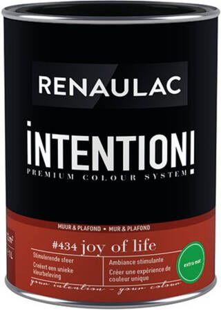 RENAULAC Muur- En Plafondverf Intention Joy Of Life Extra Mat 1l