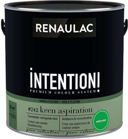 RENAULAC Muur- En Plafondverf Intention Keen Aspiration Extra Mat 2 5l